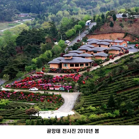Golmangtae Pension Boseong Extérieur photo