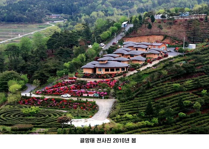 Golmangtae Pension