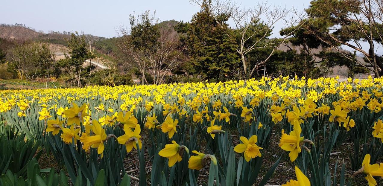 Golmangtae * Boseong
