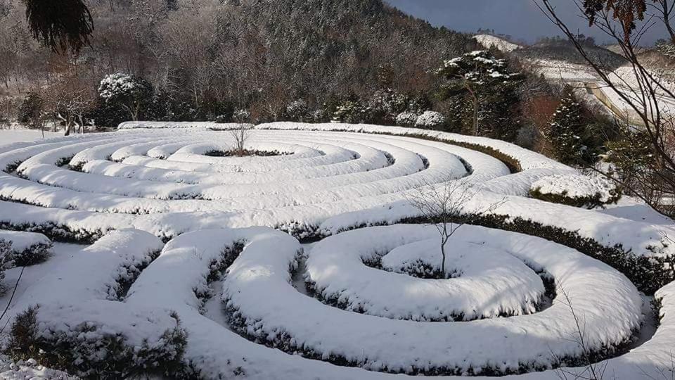 Hébergement de vacances Golmangtae Boseong