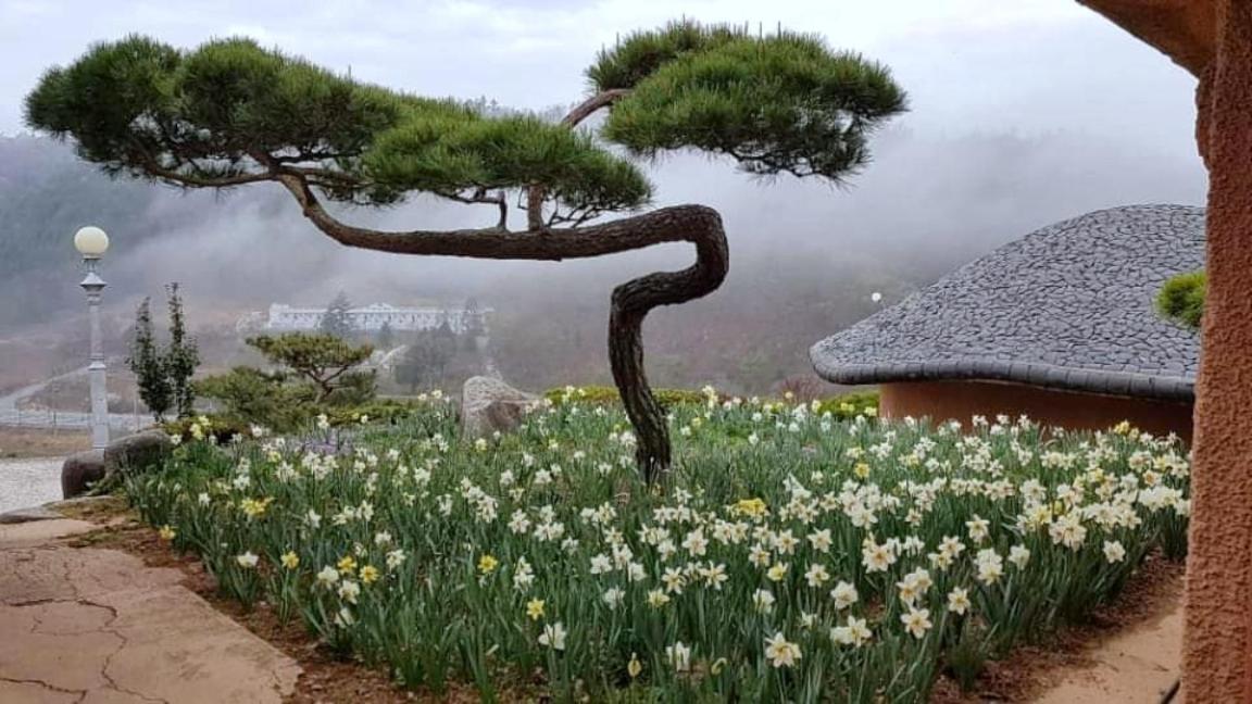 Golmangtae * Boseong